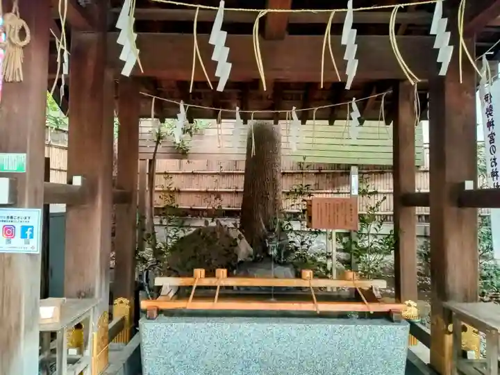 東京大神宮(東京都)