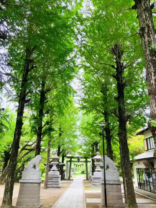 金村別雷神社(茨城県)