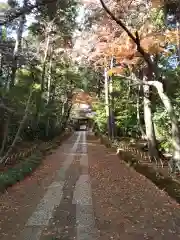 寿福寺(神奈川県)