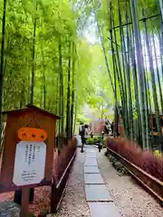 報国寺(神奈川県)