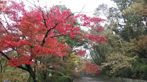 光明寺（粟生光明寺）のその他建物