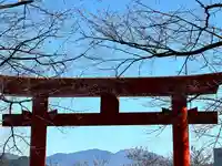子檀嶺神社の鳥居