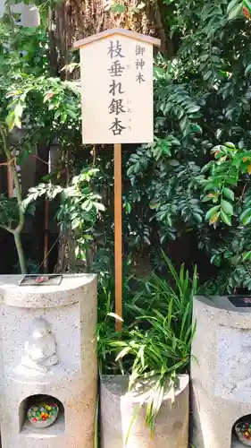 波除神社（波除稲荷神社）の自然