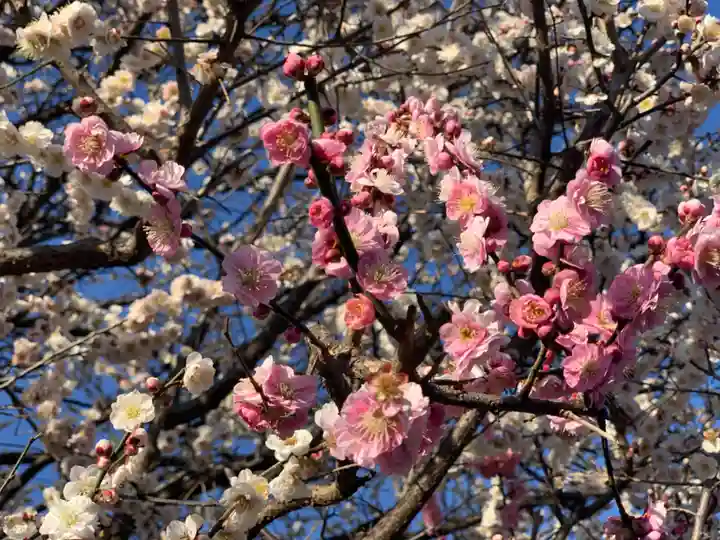 薭田神社の自然