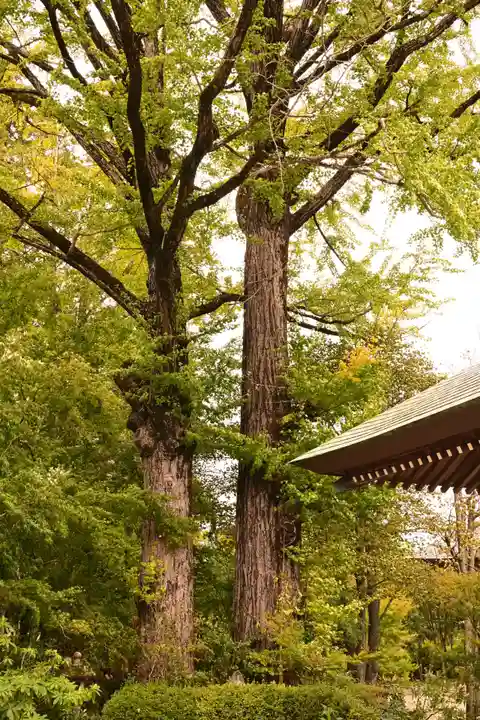 佛山寺(大分県)