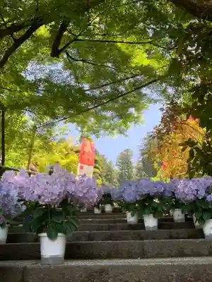 岡寺(龍蓋寺)(奈良県)