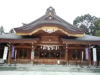 亀ケ池八幡宮の本殿・本堂