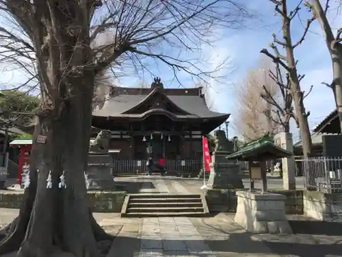 滝野川八幡神社の本殿・本堂