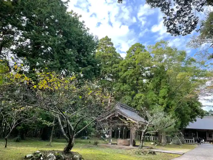 倭文神社の{uncategorized: "未分類", other: "その他", undefined: "問題あり", building: "その他建物", grave: "お墓", sacred_gate: "鳥居", guardian: "狛犬", statue: "像", buddha: "仏像", history: "歴史", nature: "自然", garden: "庭園", animal: "動物", pagoda: "塔", temizu: "手水舎", mountain_gate: "山門・神門", sanctuary: "本殿・本堂", subordinate: "末社・摂社", art: "芸術", scenery: "景色", jizo: "地蔵", ema: "絵馬", goshuin: "御朱印", omikuji: "おみくじ", items: "授与品その他", amulet: "お守り", goshuincho: "御朱印帳", eats: "食事", festival: "お祭り", votive_dance: "神楽", shichigosan: "七五三参", wedding: "結婚式", experience: "体験その他", initially: "初詣", around: "周辺", anti_infection: "感染症対策"}