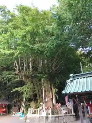 海南神社(神奈川県)