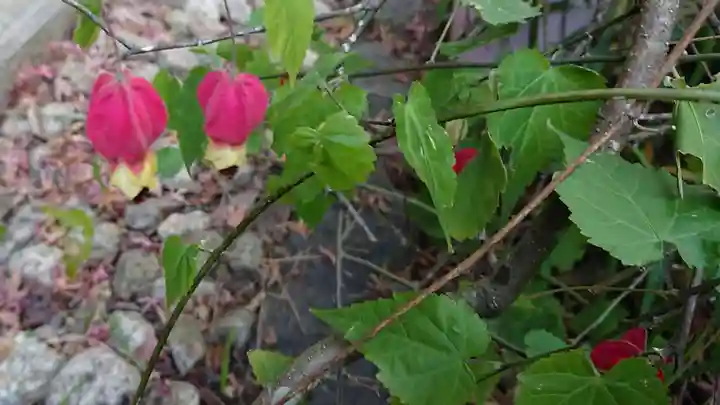 大通寺(静岡県)