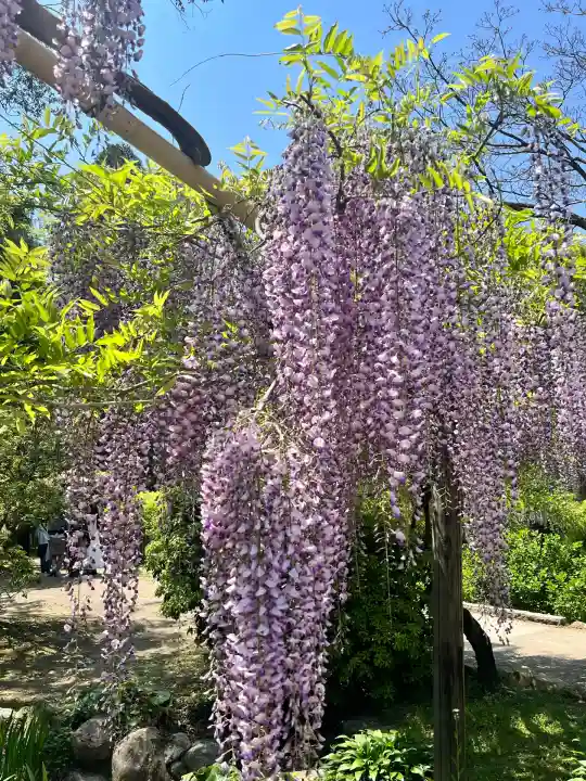 歌泉堂(春日大社神苑萬葉植物園内鎮座)(奈良県)