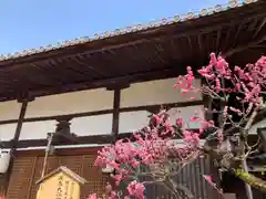 飛鳥寺(奈良県)