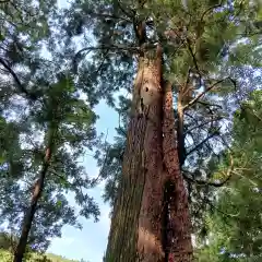 櫻井神社(福岡県)