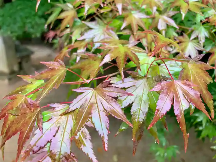 滑川神社 - 仕事と子どもの守り神の自然
