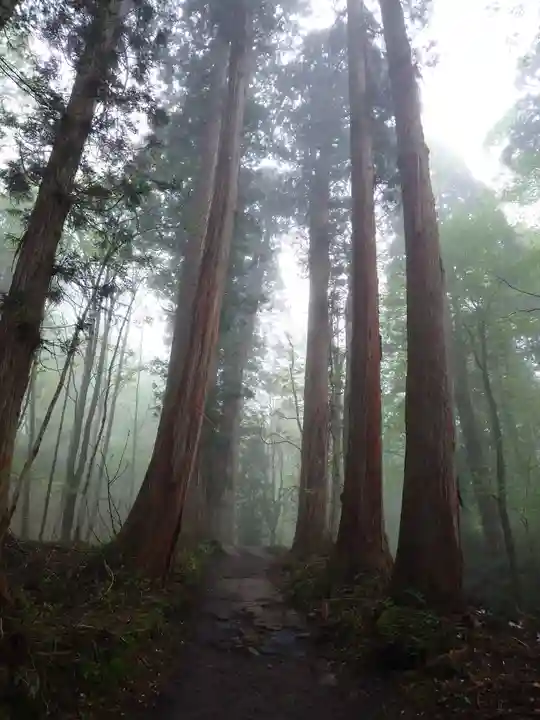 戸隠神社奥社(長野県)