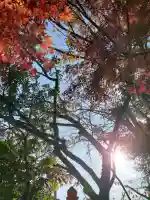 積田神社の{uncategorized: "未分類", other: "その他", undefined: "問題あり", building: "その他建物", grave: "お墓", sacred_gate: "鳥居", guardian: "狛犬", statue: "像", buddha: "仏像", history: "歴史", nature: "自然", garden: "庭園", animal: "動物", pagoda: "塔", temizu: "手水舎", mountain_gate: "山門・神門", sanctuary: "本殿・本堂", subordinate: "末社・摂社", art: "芸術", scenery: "景色", jizo: "地蔵", ema: "絵馬", goshuin: "御朱印", omikuji: "おみくじ", items: "授与品その他", amulet: "お守り", goshuincho: "御朱印帳", eats: "食事", festival: "お祭り", votive_dance: "神楽", shichigosan: "七五三参", wedding: "結婚式", experience: "体験その他", initially: "初詣", around: "周辺", anti_infection: "感染症対策"}