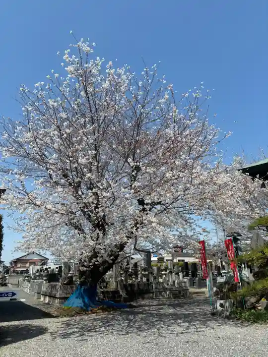 十輪寺(群馬県)
