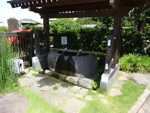 妙蓮寺の手水舎