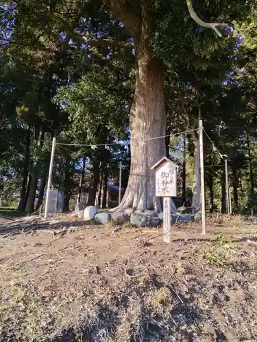 宇都母知神社(神奈川県)