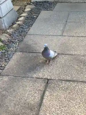 櫻株稲荷神社(水戸屋稲荷)(千葉県)