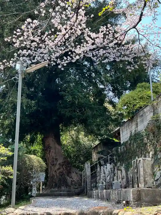 無量院(蓮華寺)の{uncategorized: "未分類", other: "その他", undefined: "問題あり", building: "その他建物", grave: "お墓", sacred_gate: "鳥居", guardian: "狛犬", statue: "像", buddha: "仏像", history: "歴史", nature: "自然", garden: "庭園", animal: "動物", pagoda: "塔", temizu: "手水舎", mountain_gate: "山門・神門", sanctuary: "本殿・本堂", subordinate: "末社・摂社", art: "芸術", scenery: "景色", jizo: "地蔵", ema: "絵馬", goshuin: "御朱印", omikuji: "おみくじ", items: "授与品その他", amulet: "お守り", goshuincho: "御朱印帳", eats: "食事", festival: "お祭り", votive_dance: "神楽", shichigosan: "七五三参", wedding: "結婚式", experience: "体験その他", initially: "初詣", around: "周辺", anti_infection: "感染症対策"}