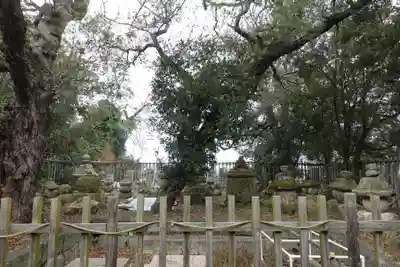 志度寺(香川県)