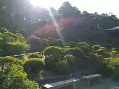 塩船観音寺の庭園