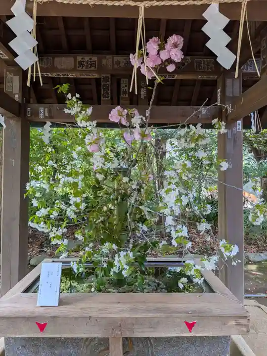 赤坂氷川神社(東京都)
