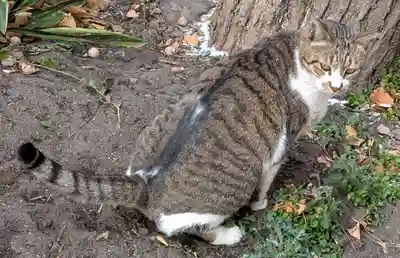 阿邪訶根神社(福島県)