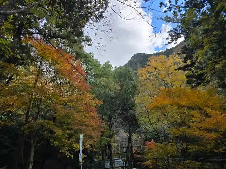 大本山七宝瀧寺(大阪府)
