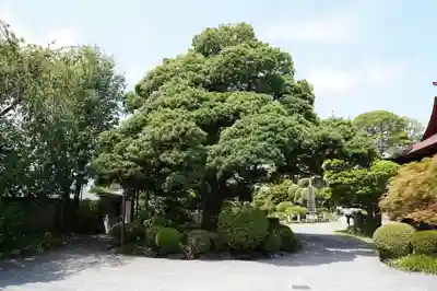 宗建寺(東京都)