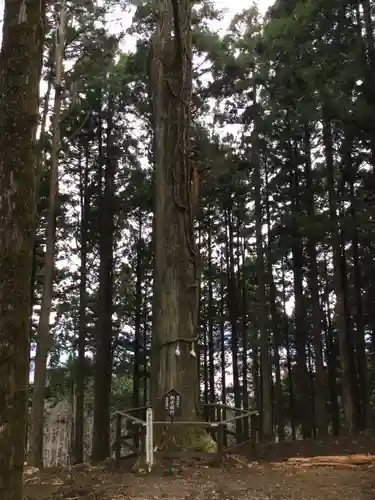 身延山奥之院思親閣(山梨県)