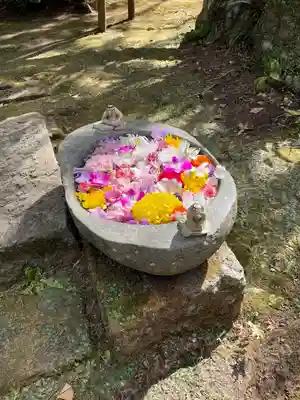 かっぱの寺 栖足寺(静岡県)