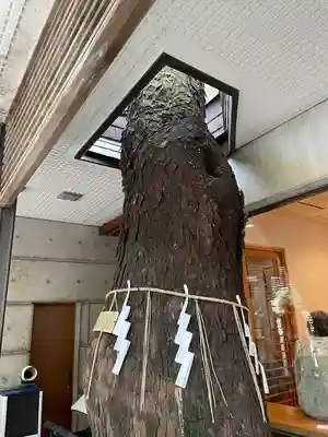 乃木神社(東京都)