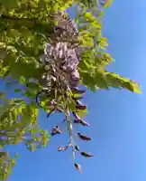 滑川神社 - 仕事と子どもの守り神(福島県)