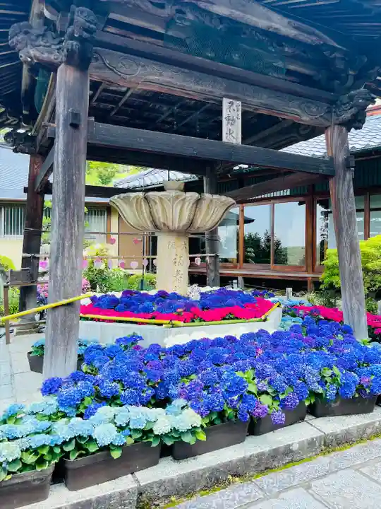 三室戸寺(京都府)