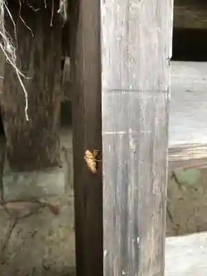 熊按神社(兵庫県)