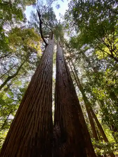 若狭彦神社（上社）(福井県)