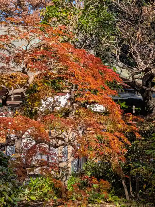 布多天神社(東京都)