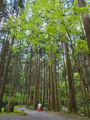 御岩神社(茨城県)