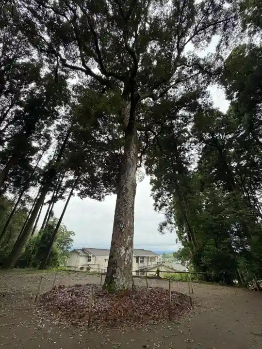 熊野神社(宮崎県)