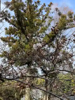 伊勢の国 四天王寺(三重県)