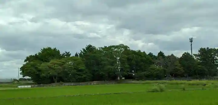 八幡社(落合八幡社)の{uncategorized: "未分類", other: "その他", undefined: "問題あり", building: "その他建物", grave: "お墓", sacred_gate: "鳥居", guardian: "狛犬", statue: "像", buddha: "仏像", history: "歴史", nature: "自然", garden: "庭園", animal: "動物", pagoda: "塔", temizu: "手水舎", mountain_gate: "山門・神門", sanctuary: "本殿・本堂", subordinate: "末社・摂社", art: "芸術", scenery: "景色", jizo: "地蔵", ema: "絵馬", goshuin: "御朱印", omikuji: "おみくじ", items: "授与品その他", amulet: "お守り", goshuincho: "御朱印帳", eats: "食事", festival: "お祭り", votive_dance: "神楽", shichigosan: "七五三参", wedding: "結婚式", experience: "体験その他", initially: "初詣", around: "周辺", anti_infection: "感染症対策"}