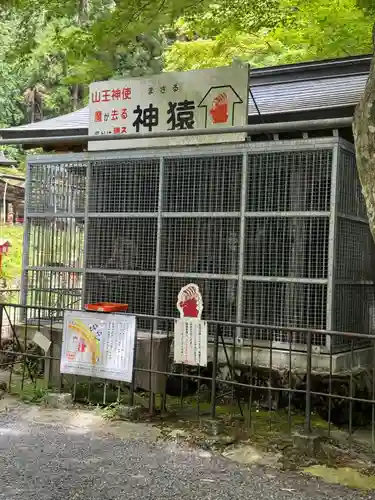 日吉大社(滋賀県)