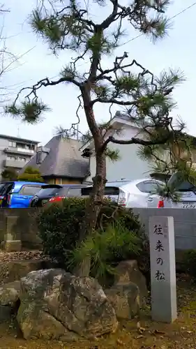 菊地神社の自然