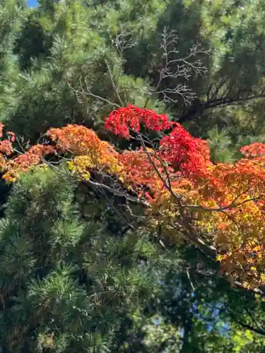 手長神社(長野県)