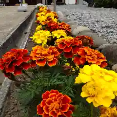 七重浜海津見神社(北海道)