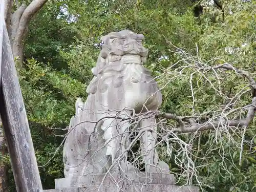 市原稲荷神社の狛犬