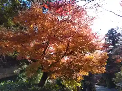 海蔵寺(神奈川県)
